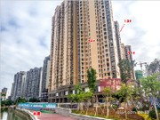 2017年11月工程進(jìn)度