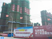 2019年3月工程進(jìn)度