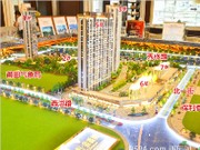 保利金香檳沙盤