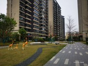 小區(qū)實(shí)景