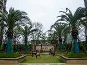 2019年3月6日工程進(jìn)度