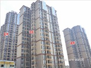 2015年7月30日工程進度