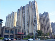 2017年11月工程進度