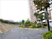 2014年1月小區(qū)實(shí)景