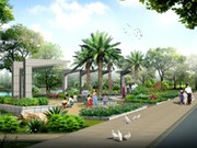 東邊小溪路邊景觀