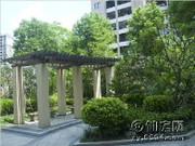 小區(qū)實(shí)景