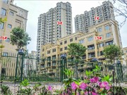 2017年3月工程進(jìn)度圖