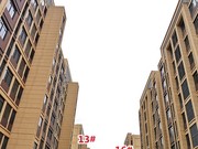 2022年1月工程進度