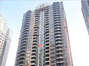 2017年7月工程進度