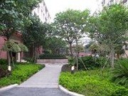 小區(qū)實(shí)景二