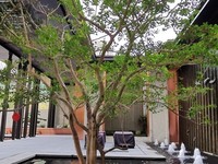 小區(qū)實景 (6)