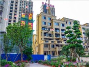 2016年5月工程進(jìn)度圖