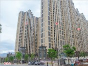 2015年12月工程進度