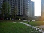 工程進(jìn)度圖