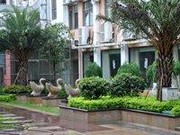 小區(qū)綠化四