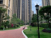 小區(qū)實(shí)景