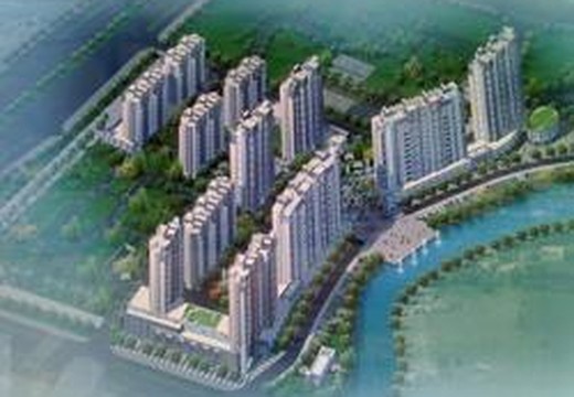 中特陽光棕櫚城