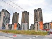 2019年11月20日工程進(jìn)度