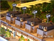 保利金香檳沙盤