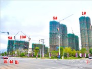 2015年4月項(xiàng)目實(shí)景圖