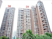 2015年7月實景圖1