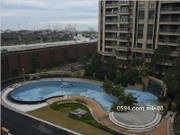 2019年3月工程進(jìn)度圖