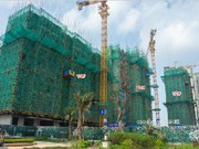 2019年6月工程進(jìn)度