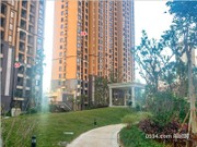 2017年12月工程進(jìn)度圖