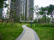 一期小區(qū)實(shí)景圖