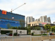 2020年11月25日工程進(jìn)度