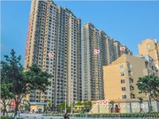 2016年4月工程進(jìn)度