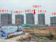 2014年11月29日工程進度