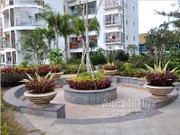 2014年1月小區(qū)實(shí)景