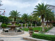 2020年3月工程進(jìn)度