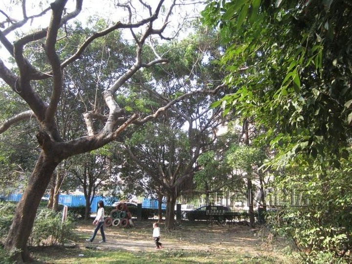 八十畝改造區(qū)/八十畝小區(qū)