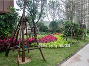 2018年1月工程進(jìn)度