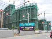 2016年1月工程進(jìn)度圖