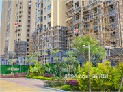 2017年4月工程進(jìn)度