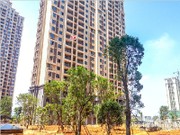 2017年7月工程進(jìn)度