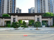 2020年8月20日實(shí)景圖