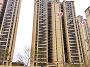 2022年1月工程進度