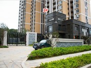 2019年4月工程進(jìn)度