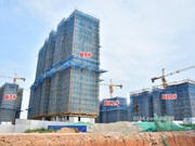 2020年6月24日工程進度