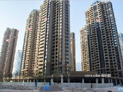 2019年11月工程進(jìn)度