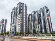 2016年2月工程進度