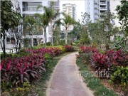 2014年1月小區(qū)實(shí)景