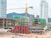 2017年11月21日工程進(jìn)度