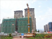 2019年5月工程進度