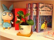 2#04單元104㎡兒童房擺件