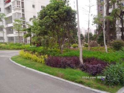 鳳達(dá)雅苑，安福電商城旁，紅星美凱龍對(duì)面，大二房一廳，-莆田租房